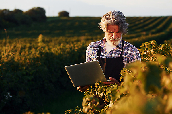 포토 JPG 해외이미지 노년 남자 밭 농업 한명 들기 상반신 앞모습 노트북 농경지 농사 시골 농부 분석 노인남자한명만 내려보기 스마트팜 해외202309 해외포토 직업 1 산업 뷰포인트 컨셉 모션 사람 성인 전자제품 농장 남자한명만 노인남자만 파일형식