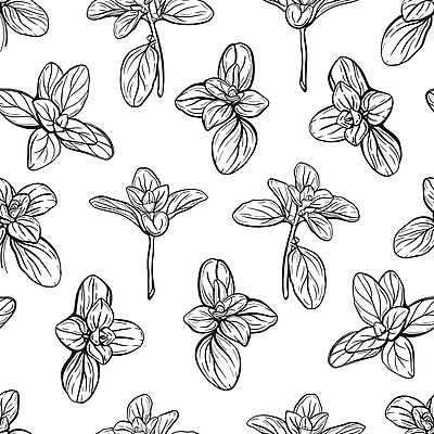 EPS 해외이미지 식물 음식 잎 패턴 농업 채소 일러스트 재료 흑백 요리 주방 정원 이탈리아 샐러드 나뭇가지 직물 신선 양념 맛 스케치 다발 허브 향신료 그림 유기농 질감 매움 향기 윤곽 아로마 손그림 향료 향 바질 고립 오레가노 채식주의자 벡터 그리너리 비건 해외202309 해외일러스트 나무 웰빙 유럽 산업 컨셉 무늬 촬영기법 미술 채식 냄새 향미료 파일형식 트랜드컬러