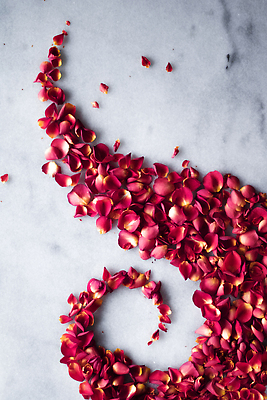 포토 JPG 해외이미지 꽃잎 분홍색 백그라운드 곡선 사람없음 장미 카피스페이스 해외202309 해외포토 꽃 선 컬러 공백 파일형식