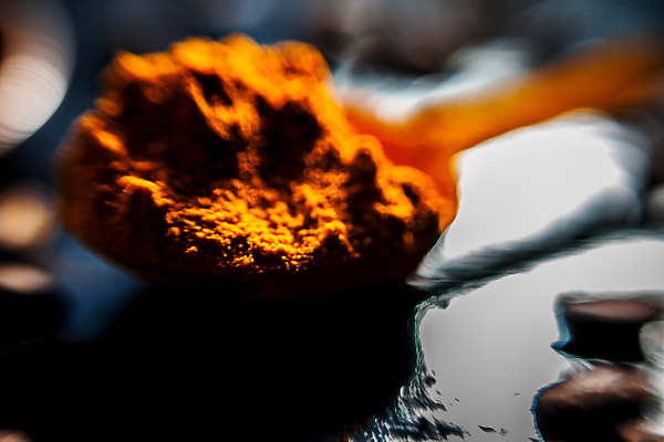 포토 JPG 해외이미지 커피 음식 재료 부분 콩 건조 건강 요리 동양인 사람없음 목재 빛 노란색 검은색 신선 양념 맛 가루 인도인 허브 향신료 만족 유기농 매움 뿌리 슛 향료 향 생강 흙더미 땅바닥 마살라 강황 해외202309 해외포토 외국인 나무 식물 웰빙 감정 음료 컬러 컨셉 채소 식재료 곡류 바닥 인종 흙 향기 냄새 향미료 파일형식 더미