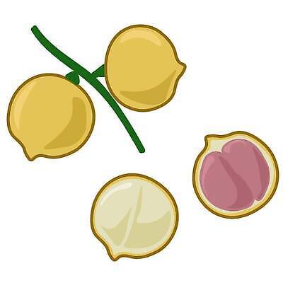 EPS 해외이미지 식물 디자인 열매 음식 조각 다이어트 과일 일러스트 자연 포도 초록색 세트 농장 정원 신선 그룹 시장 달콤 만화 다발 수집 유기농 날것 비타민 고립 버마 숙성 이국적 채식주의자 벡터 맛있는 해외202309 해외일러스트 웰빙 컬러 농업 건강 맛 생태계 채식 영양소 파일형식