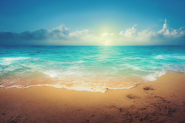 포토 JPG 해외이미지 나무 구름 모래 파도 바다 섬 여행 하늘색 백그라운드 잎 자연 하늘 추상 휴가 휴식 안테나 손바닥 풍경 사람없음 야외 물 여름 파란색 햇빛 태양 뷰티 맑음 일몰 흰색 만 정상 지중해 휴양지 질감 이국적 터키석 파라다이스 수평선 해외202309 해외포토 자연요소 식물 손 계절 컬러 컨셉 무늬 통신 날씨 노을 장소 보석 생태계 파일형식