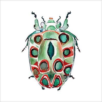 EPS 해외이미지 종이 야생동물 컬러 곤충 백그라운드 일러스트 자연 새로움 미술 사람없음 그래픽 장식 초록색 물 세트 컬러풀 활발 젖음 흰색 4 그룹 스케치 수집 딱정벌레 심볼 그림 질감 내추럴 고립 멀티 엘리먼트 인기 혼란 벡터 효과 해외202309 해외일러스트 자연요소 동물 컨셉 문화예술 숫자 생태계 파일형식