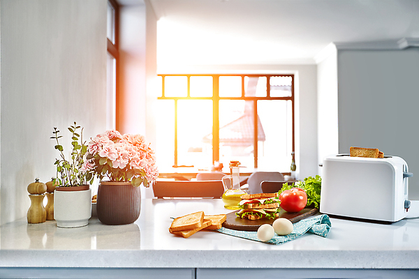 포토 JPG 해외이미지 채소 과일 식재료 창문 샌드위치 사람없음 햇빛 꽃병 아침식사 식빵 토스트 토스트기 해외202309 해외포토 꽃 음식 빵 태양 식사 가전제품 파일형식