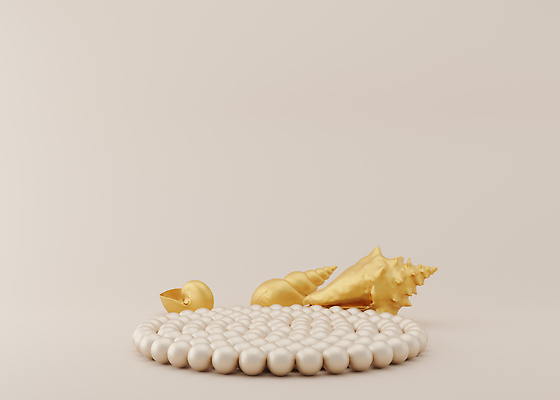 포토 JPG 해외이미지 백그라운드 조개 사람없음 공간 원형 진주 단상 포디움 해외202309 해외포토 도형 어패류 무대 보석 파일형식