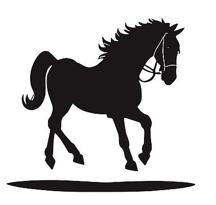 동물 스포츠 컬러 컨셉 농업 사람 친구 견과류 축산업 상처 방향 생태계 돌봄 파일형식 벡터 해외202309 일러스트 EPS 해외이미지 외양간 뷰티 검은색 결합 기르기 굴레 갈색 밤 보호 시골 승마 농장 무료 자유 우정 찰과상 방목 군중 웅장함 포유류 산 내추럴 자연 야외 순혈 목장 안장 힘 꼬리 서쪽 야생동물 해외일러스트