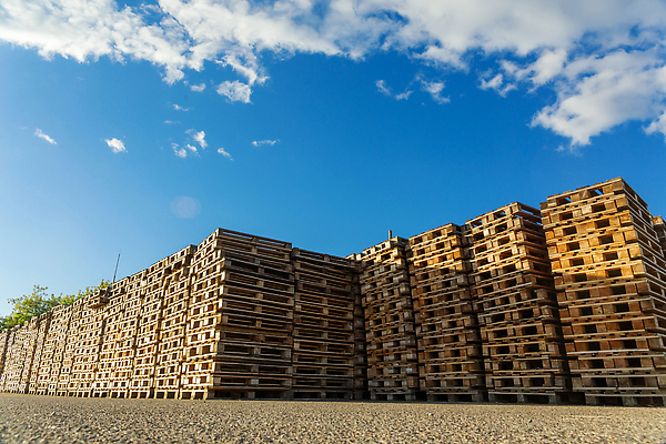 포토 JPG 해외이미지 산업 백그라운드 비즈니스 포장 공장 교통시설 하늘 벽돌 양말 사람없음 야외 목재 쌓기 환경 블록 재활용 장비 유로 화물 널 주식 컨테이너 다발 천 창고 무역 상업 패키지 수납 잡동사니 단상 물류 분배 수목 해외202309 해외포토 나무 교통 돈 재료 공업 모션 금융 운송업 직물 시설 친환경 파일형식