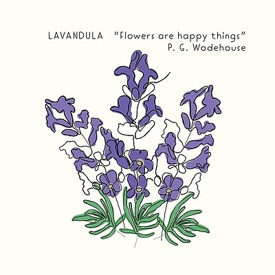 EPS 해외이미지 식물 디자인 꽃 꽃다발 백그라운드 잎 꽃무늬 일러스트 자연 벽지 추상 미술 그래픽 장식 약 라벨 정원 보라색 봄 벚꽃 신용카드 수수께끼 낙서 인쇄 스케치 허브 제비꽃 심볼 라인아트 오브젝트 그림 유기농 질감 심플 윤곽 아로마 아로마테라피 라벤더 내추럴 고립 프로방스 레터링 벡터 해외202309 해외일러스트 웰빙 계절 선 컬러 무늬 의학 문화예술 프레임 금융 생태계 테라피 파일형식