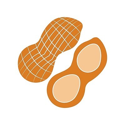 식물 웰빙 꽃 컬러 컨셉 과일 콩 곡류 건강 견과류 질병 생태계 채식 영양소 채식주의자 파일형식 벡터 해외202309 일러스트 EPS 해외이미지 코코넛 다이어트 피칸 피스타치오 비건 밤 해바라기 호두 완두콩 꼬투리 맛 껍질 땅콩 유기농 씨앗 알레르기 재료 단백질 날것 자연 버터 심볼 스타일 엘리먼트 윤곽 고립 음식 디자인 흰색 오브젝트 백그라운드 그래픽 사인 내추럴 해외일러스트