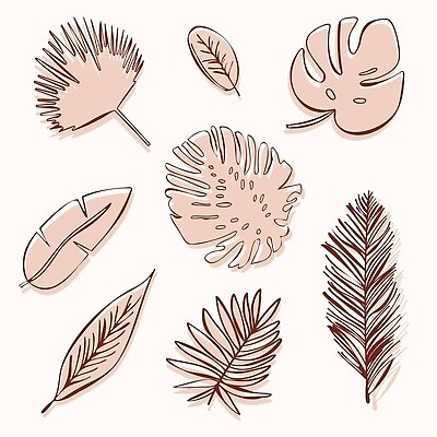 EPS 해외이미지 나무 식물 디자인 실루엣 백그라운드 잎 꽃무늬 패턴 일러스트 자연 열대 바나나 손바닥 미술 그래픽 장식 여름 세트 정원 봄 흰색 나뭇가지 숲 인쇄 수집 그림 하와이 내추럴 고립 생태학 엘리먼트 이국적 파라다이스 하와이인 벡터 해외202309 해외일러스트 외국인 손 계절 교육 꽃 컬러 무늬 과일 문화예술 촬영기법 미국 생태계 파일형식