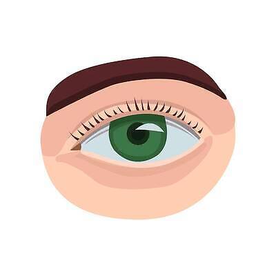 EPS 해외이미지 디자인 응시 컬러 과학 신체 일러스트 부분 해부 건강 사람 픽토그램 플랫 눈동자 눈썹 속눈썹 묘사 사인 생물학 시력 비전 안과 외과 고립 광학 벡터 해외202309 해외일러스트 시선 교육 얼굴 의학 병원 눈 안구 파일형식 신체부위
