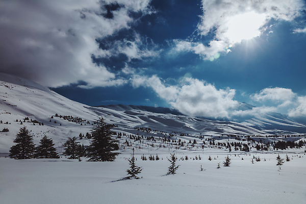 포토 JPG 해외이미지 나무 계절 여행 백그라운드 크리스마스 겨울 자연 하늘 스키 산 파노라마 풍경 사람없음 야외 파란색 뷰티 평화 환경 계곡 맑음 냉동 얼음 추위 덮개 흰색 언덕 휴양지 내추럴 눈내림 해외202309 해외포토 자연요소 식물 기념일 컬러 컨셉 날씨 겨울스포츠 눈_날씨 촬영기법 장소 뚜껑 생태계 파일형식