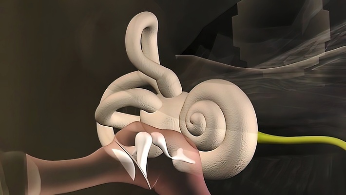 포토 JPG 해외이미지 클립아트 과학 일러스트 해부 건강 사람 사람없음 야외 내부 약 건강관리 소리 듣기 구멍 감각 오르간 횡단보도 중앙 심볼 그림 생물학 귀 운하 튜브 돌봄 해외202309 해외일러스트 교육 의학 모션 관리 신체부위 보행로 건반악기 파일형식