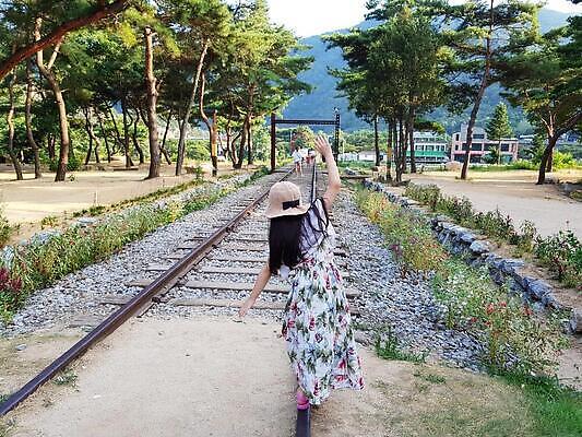 포토 JPG 해외이미지 나무 식물 드레스 도로 휴가 사람없음 여름 유행 걷기 사진촬영 선로 해외202309 해외포토 옷 계절 길 교통시설 모션 촬영 파일형식