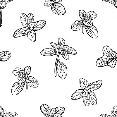 EPS 해외이미지 식물 음식 잎 패턴 농업 채소 일러스트 재료 흑백 요리 주방 정원 이탈리아 샐러드 나뭇가지 직물 신선 양념 맛 스케치 다발 허브 향신료 그림 유기농 질감 매움 향기 윤곽 아로마 손그림 향료 향 바질 고립 오레가노 채식주의자 벡터 그리너리 비건 해외202309 해외일러스트 나무 웰빙 유럽 산업 컨셉 무늬 촬영기법 미술 채식 냄새 향미료 파일형식 트랜드컬러