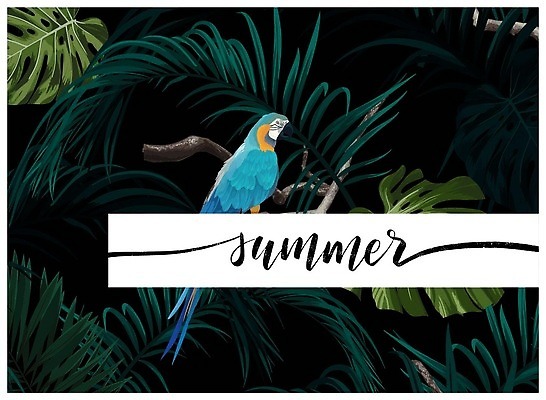 EPS 해외이미지 식물 디자인 꽃 섬 결혼 백그라운드 잎 꽃무늬 일러스트 자연 조류 손바닥 가로 초록색 파란색 어둠 수확 나뭇가지 신용카드 숲 인쇄 열대우림 질감 하와이 앵무새 초대 캘리포니아 이국적 하와이인 벡터 알로하 국경 해외202309 해외일러스트 외국인 나무 동물 손 컬러 무늬 농업 이벤트 금융 미국 인사 생태계 파일형식