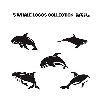 EPS 해외이미지 야생동물 선 일러스트 사람없음 검은색 심볼 심플 상어 해외202309 해외일러스트 동물 컬러 어류 파일형식 벡터