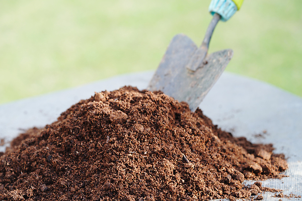 포토 JPG 해외이미지 나무 식물 손 지구 밭 농업 자연 이끼 씨앗 사람없음 농장 환경 정원 농사 흙 봄 재활용 성장 신선 보호 농부 땅 에코 유기농 원예 먼지 내추럴 거름 개선 그런지 땅바닥 밭일 생태학 온실 원예사 해외202309 해외포토 직업 웰빙 계절 교육 산업 컨셉 바닥 취미 신체부위 친환경 생태계 파일형식