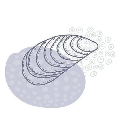 EPS 해외이미지 동물 손 실루엣 야생동물 선 모래 바다 스티커 일러스트 추상 휴가 조개 연체동물 흑백 나선형 그래픽 물 여름 수중 껍질 흰색 점 소라 낙서 스케치 해산물 오브젝트 사인 그림 질감 심플 윤곽 가리비 고립 앵무조개 엘리먼트 이국적 벡터 해외202309 해외일러스트 자연요소 계절 컬러 무늬 어패류 무척추동물 촬영기법 미술 신체부위 파일형식