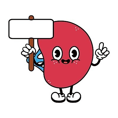 EPS 해외이미지 캐릭터 라이프스타일 디자인 행복 포스터 어린이 과학 백그라운드 신체 일러스트 해부 건강 사람 내부 약 꼬리표 수확 표현 오르간 플랫 인쇄 만화 심볼 사인 그림 복고 생물학 고립 돌봄 마스코트 지라 벡터 해외202309 해외일러스트 일러캐릭터 교육 감정 농업 의학 모션 생활 라벨 건반악기 파일형식