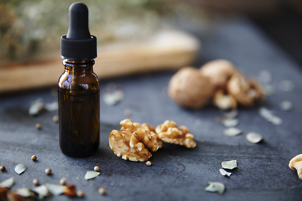 포토 JPG 해외이미지 음식 재료 유리 건강 씨앗 사람없음 목재 치료 약 화장품 견과류 기름 유기농 호두 테라피 비건 해외202309 해외포토 나무 식물 웰빙 의학 재질 뷰티 채식주의자 파일형식