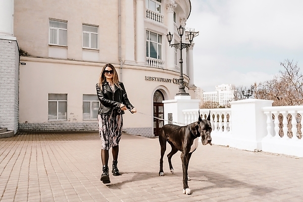포토 JPG 해외이미지 전신 한마리 건축물 여자 반려견 길 한명 성인 야외 앞모습 걷기 산책 잡기 대형견 목줄 성인여자한명만 그레이트덴 해외202309 해외포토 1 건축 뷰포인트 모션 휴식 사람 반려동물 개 여자한명만 성인여자만 파일형식 반려용품