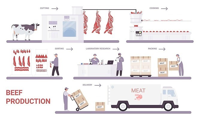 EPS 해외이미지 식물 디자인 교육 산업 포스터 선 음식 농업 일러스트 비즈니스 포장 텍스트 공장 노동자 육류 상자 농장 얼음 식사 기계 인포그래픽 장비 소고기 정보 흰색 소 시장 실험실 플랫 제조 만화 자르기 유기농 레이아웃 날것 만들기 짐싸기 방법 밭일 분류 자동 벡터 해외202309 해외일러스트 자연요소 직업 웰빙 컬러 식재료 포유류 공업 모션 실험 파일형식