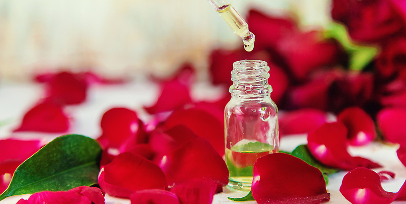 포토 JPG 해외이미지 꽃잎 백그라운드 잎 자연 사람없음 아웃포커스 뷰티 신선 오일 내추럴 해외202309 해외포토 식물 꽃 음식 촬영기법 화장품 생태계 파일형식