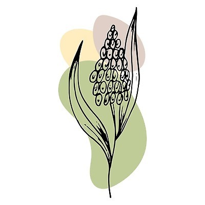 EPS 해외이미지 식물 손 디자인 꽃 실루엣 선 백그라운드 잎 꽃무늬 일러스트 자연 벽지 추상 잉크 흑백 미술 그래픽 장식 여름 뷰티 정원 검은색 봄 수확 벚꽃 나뭇가지 낙서 만화 스케치 허브 그림 복고 윤곽 손그림 내추럴 고립 엘리먼트 스타일 벡터 해외202309 해외일러스트 나무 계절 컬러 무늬 농업 문화예술 촬영기법 신체부위 생태계 파일형식