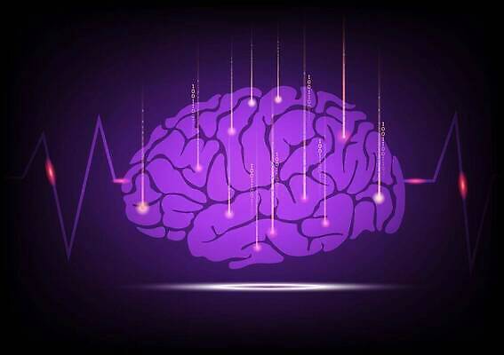 EPS 해외이미지 과학 백그라운드 생각 일러스트 통계 추상 미래 아이디어 세포 사람 학습 머리 디지털 자료 손상 정보 마음 원형 네트워크 감각 연결 심볼 분석 뇌 생물학 시스템 기하학 암 망사 인공 종양 지능 가상 스타일 해외202309 해외일러스트 도형 교육 컨셉 무늬 신체부위 직물 질병 파일형식 벡터