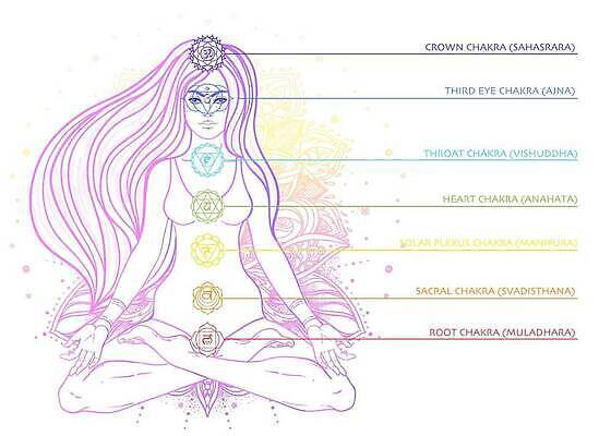 EPS 해외이미지 전통 여자 아시아 선 컬러 포즈 컨셉 꽃무늬 신체 일러스트 요가 건강 연꽃 미술 사람 화목 에너지 마음 영혼 신비 인도인 심볼 연습 명상 사인 시스템 테라피 부족 만다라 환상 벡터 아사나자세 해외202309 해외일러스트 외국인 웰빙 꽃 나라 무늬 문화예술 동양인 뷰티 요가자세 파일형식