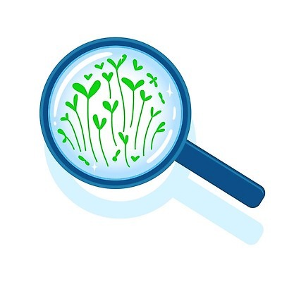 EPS 해외이미지 식물 디자인 음식 일러스트 재료 해바라기 초록색 새싹 샐러드 성장 신선 원형 플랫 닫기 확대 허브 손목시계 확인 검색 그림 날것 점검 내추럴 고립 모종 제어 채점 총쏘기 벡터 그리너리 비건 해외202309 해외일러스트 도형 꽃 시계 컬러 장신구 모션 성적 채식주의자 파일형식 트랜드컬러