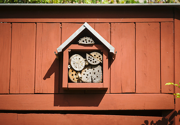 포토 JPG 해외이미지 동물 야생동물 벽 곤충 백그라운드 자연 호텔 주택 사람없음 목재 장식 빨간색 초록색 상자 농장 우주 환경 정원 재활용 시골 구멍 벌레 둥지 보호 숲 벌 유기농 생태계 애벌레 개미 꿀 벌집 내추럴 생태학 양봉장 헬프 호박벌 해외202309 해외포토 나무 웰빙 교육 컬러 컨셉 농업 재료 숙소 건물 도움 벌_곤충 친환경 파일형식