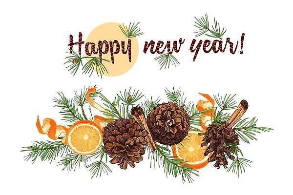 EPS 해외이미지 겨울 오렌지 일러스트 새해 귤 사람없음 껍질 솔방울 솔잎 시나몬스틱 해외202309 해외일러스트 계절 잎 과일 시나몬 파일형식 벡터