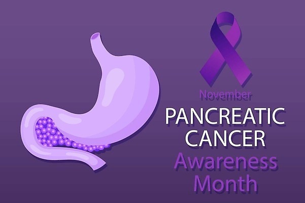 EPS 해외이미지 템플릿 디자인 배너 포스터 리본 캠페인 백그라운드 컨셉 일러스트 텍스트 건강 사람 치료 세계 약 보라색 희망 고통 신용카드 질병 가슴 11월 제비꽃 심볼 사인 예방 유방암 암 월 췌장 고립 돌봄 연대 전국 지원 헬프 벡터 자선단체 해외202309 해외일러스트 꽃 감정 컬러 의학 모션 신체부위 금융 도움 장기_의학 그룹 날짜 자선 파일형식