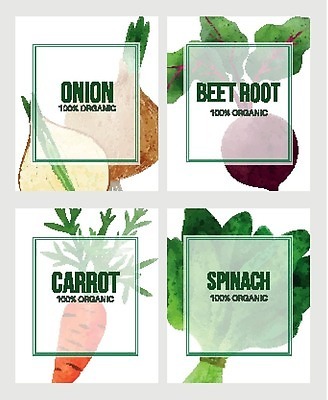 EPS 해외이미지 일러스트 양파 사람없음 당근 유기농 손그림 시금치 비트 비건 해외202309 해외일러스트 웰빙 채소 뿌리채소 채식주의자 파일형식 벡터
