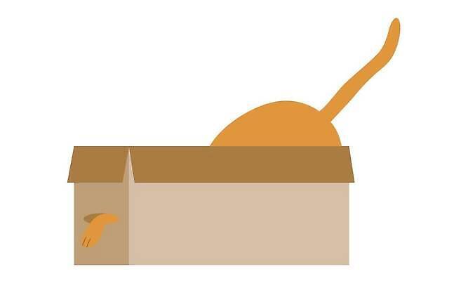 EPS 해외이미지 동물 캐릭터 스티커 일러스트 장난 놀이 털 반려동물 상자 고양이 스트레칭 플랫 컨테이너 만화 꼬리 솜털 판지 거짓말 고립 기르기 숨기 벡터 순혈 해외202309 해외일러스트 일러캐릭터 산업 포유류 모션 운동 돌봄 파일형식