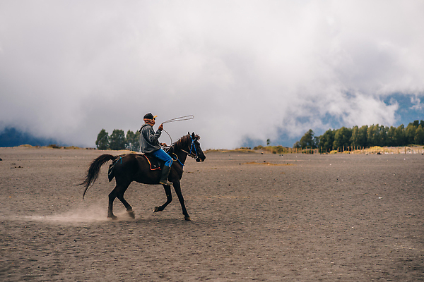 포토 JPG 해외이미지 동물 공원 모래 여행 자연 하늘 아침 휴가 산 파노라마 사람없음 야외 뷰티 여행객 일출 환경 일몰 하이킹 사막 수증기 폭발 화산 인도네시아 분화구 기수 내추럴 랜드마크 전국 해외202309 해외포토 주간 공공시설 아시아 레저 촬영기법 사람 노을 생태계 파일형식