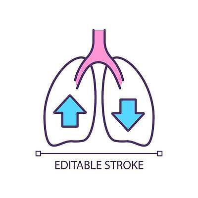 EPS 해외이미지 클립아트 편집 디자인 선 컬러 컨셉 일러스트 해부 건강 미술 사람 내부 픽토그램 약 웹 오르간 호흡기관 플랫 호흡 만화 심볼 생물학 윤곽 시스템 고립 궤 얇은 엘리먼트 천식 타격 활자 벡터 해외202309 해외일러스트 교육 인터넷 의학 모션 문화예술 장기_의학 건반악기 질병 활자판 파일형식
