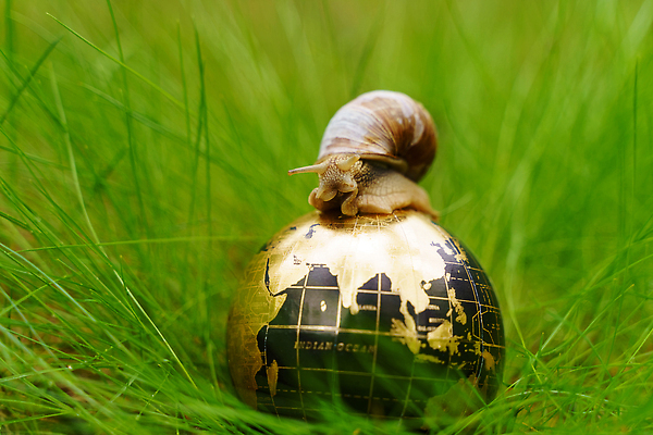 포토 JPG 해외이미지 교육 지구 포즈 컨셉 밭 공 자연 건강 사람없음 초록색 세계 글로벌 지구본 평화 환경 재활용 행성 에너지 바퀴 오염 보호 에코 유지 개발 돌봄 생태학 여의주 지구의날 지리 해외202309 해외포토 기념일 컬러 농업 모션 우주 친환경 생태계 파일형식
