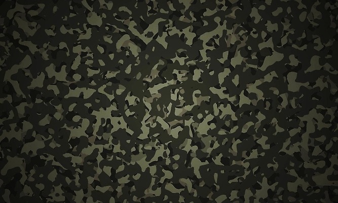 EPS 해외이미지 디자인 옷 컬러 백그라운드 유니폼 잎 패턴 곡선 일러스트 벽지 추상 미술 초록색 갈색 유행 디지털 검은색 어둠 힘 직물 점 클래식 선탠 숲 인쇄 천 질감 군용 싸움 전쟁 사냥 육군 변장 병정 숨김 삼림지대 특공대 스타일 벡터 반복 해외202309 해외일러스트 식물 선 컨셉 무늬 모션 문화예술 군대 특수부대 파일형식