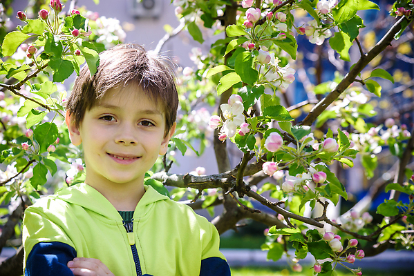 포토 JPG 해외이미지 나무 백인 계절 공원 꽃 행복 어린이 백그라운드 가족 자연 휴가 한명 소년 야외 뷰티 유행 평화 정원 봄 꿈 낭만 벚꽃 나뭇가지 아기 개화 아빠 사과 과수원 원예 냄새 문학 해외202309 해외포토 서양인 식물 1 공공시설 남자 감정 컨셉 농업 과일 관계 사람 취미 생태계 파일형식