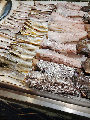 포토 JPG 해외이미지 동물 배너 산업 음식 바다 백그라운드 다이어트 비즈니스 재료 낚시 건강 어류 요리 사람없음 세로 물 쇼핑 판매 세일 상점 식당 냉동 얼음 식사 추위 신선 시장 상품 먹기 계산대 해산물 진열장 질감 날것 일렬 연어 고등어 소매 잉어 슈퍼마켓 오메가 청어 맛있는 해외202309 해외포토 자연요소 모션 레저 수중동물 파일형식