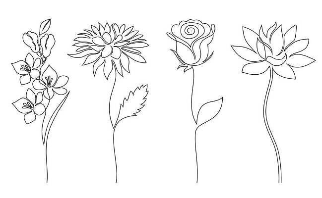 EPS 해외이미지 모양 식물 1 디자인 꽃잎 꽃 선 줄기 백그라운드 컨셉 잎 꽃무늬 일러스트 자연 추상 국화 미술 그래픽 장미 검은색 봄 벚꽃 흰색 그리기 스케치 문신 심볼 사인 그림 윤곽 고립 엘리먼트 벡터 반복 미니멀리스트 미니멀 해외202309 해외일러스트 계절 컬러 무늬 모션 문화예술 생태계 파일형식