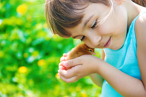 포토 JPG 해외이미지 한마리 여자 어린이 병아리 한명 들기 상반신 야외 옆모습 소녀한명만 해외202309 해외포토 1 뷰포인트 모션 조류 사람 여자한명만 소녀만 파일형식