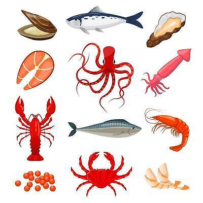 EPS 해외이미지 동물 디자인 음식 바다 백그라운드 컨셉 일러스트 재료 낚시 조개 새우 육류 어류 그래픽 빨간색 세트 식사 게 껍질 굴 흰색 플랫 상품 바닷가재 만화 수집 참치 먹기 심볼 해산물 사인 보따리 오징어 홍합 문어 연어 가리비 고등어 말뚝 고립 엘리먼트 캐비아 벡터 해외202309 해외일러스트 컬러 식재료 모션 레저 어패류 연체동물 갑각류 수중동물 가재 파일형식
