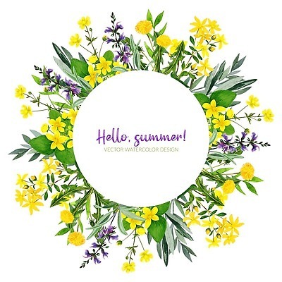 EPS 해외이미지 식물 템플릿 디자인 배너 꽃 포스터 결혼 백그라운드 잎 꽃무늬 밭 일러스트 자연 프레임 미술 장식 초록색 노란색 정원 봄 수확 흰색 인사 원형 신용카드 허브 그림 초대 내추럴 고립 세이지 엘리먼트 벡터 해외202309 해외일러스트 도형 계절 컬러 무늬 농업 문화예술 이벤트 금융 예절 생태계 파일형식