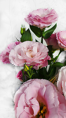 포토 JPG 해외이미지 꽃 종이 분홍색 꽃다발 백그라운드 휴가 친절 새해 선물 사랑 사람없음 여름 컬러풀 장미 반사 꽃병 젖음 덮개 물방울 축하 신선 우아함 구매 수집 주기 냄새 날카로움 아로마 분무기 라일락 알레르기 인기 많음 그리너리 해외202309 해외포토 식물 계절 감정 컬러 컨셉 모션 쇼핑 뚜껑 질병 파일형식 트랜드컬러