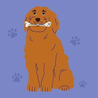 EPS 해외이미지 새끼 일러스트 건강 그래픽 치료 반려동물 장난감 약 디지털 붓 입 수비 개 강아지 치아 위생 칫솔 질병 테리어 래브라도리트리버 사인 치과의사 사냥개 치약 방문 테라피 턱 수의사 유지 송곳니 고립 돌봄 명패 위생관리 잇몸 해외202309 해외일러스트 동물 신체 포유류 의학 모션 관리 신체부위 위생용품 뷰티 의사 소화기관 리트리버 파일형식 벡터