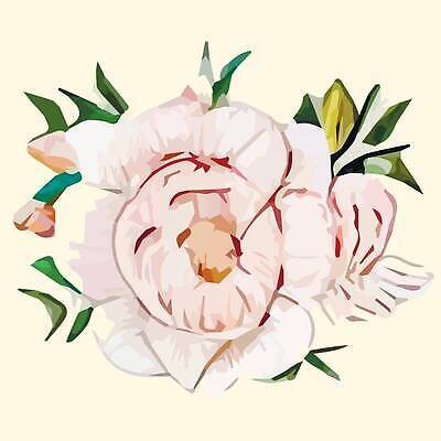 EPS 해외이미지 식물 손 디자인 꽃 종이 꽃다발 결혼 백그라운드 컨셉 잎 꽃무늬 일러스트 발렌타인데이 미술 초록색 장미 파티 정원 공책 봄 낭만 수확 벚꽃 직물 신용카드 개화 그룹 클래식 우아함 수집 그림 복고 모음 비네팅 구성 인기 타격 히비스커스 벡터 해외202309 해외일러스트 계절 컬러 무늬 농업 모션 데이이벤트 문화예술 문구용품 촬영기법 이벤트 한글 신체부위 금융 파일형식